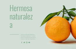 Frutas Inusuales - Tema Personalizado De WordPress