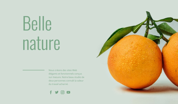 Fruits inhabituels Créateur de site Web HTML