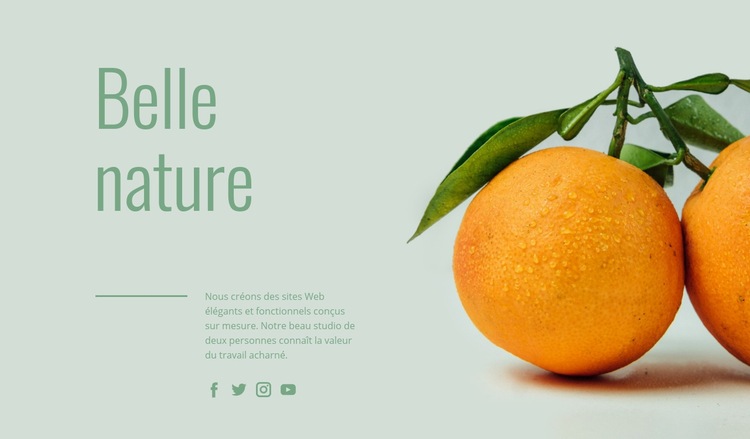 Fruits inhabituels Maquette de site Web