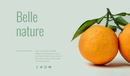 Référencement De La Page De Destination Pour Fruits Inhabituels