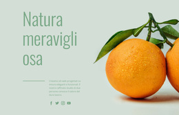 Frutti Insoliti - Tema WordPress Personalizzato