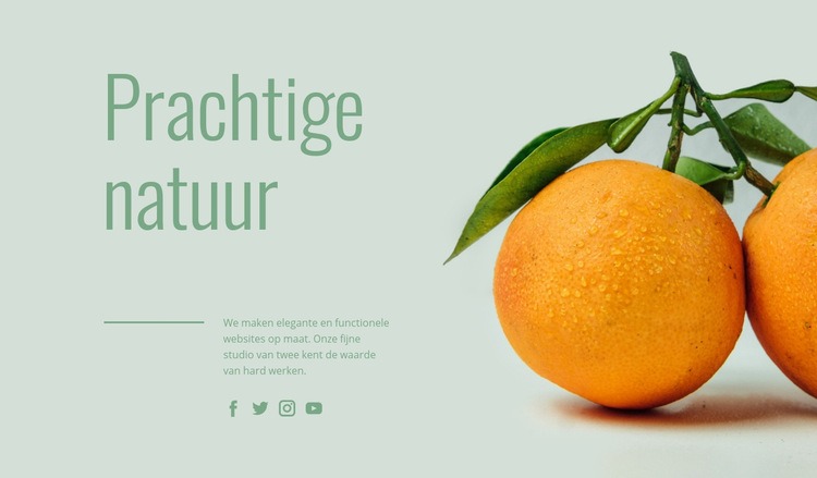 Ongewoon fruit Website ontwerp