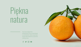 Niezwykłe Owoce - Niestandardowy Motyw WordPress