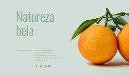 SEO Da Página De Destino Para Frutas Incomuns