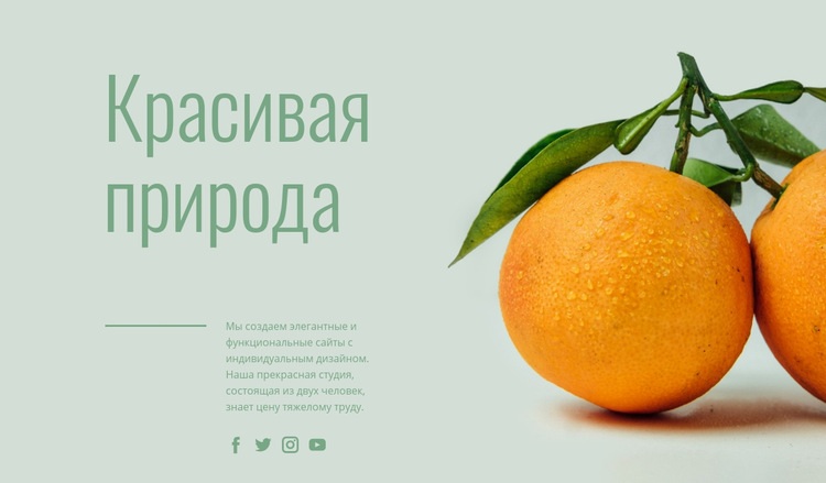 Необычные фрукты Дизайн сайта