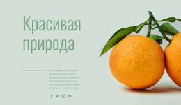 Необычные Фрукты - Website Creation HTML