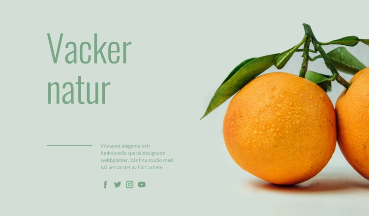 Ovanliga frukter WordPress -tema