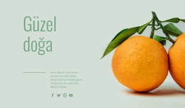 Olağandışı Meyveler - Website Creation HTML