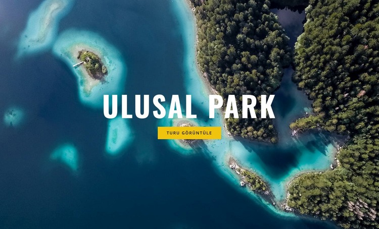 Ulusal park Web Sitesi Mockup'ı