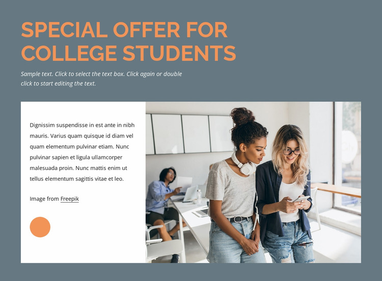 Special offer for students Website Mockup