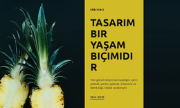 Yeni Markalar Yaratıyoruz