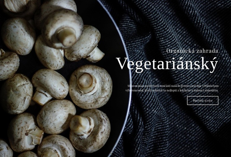 Veganské recepty Šablona webové stránky