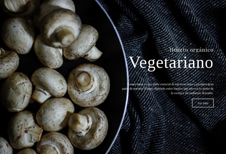 Recetas veganas Maqueta de sitio web