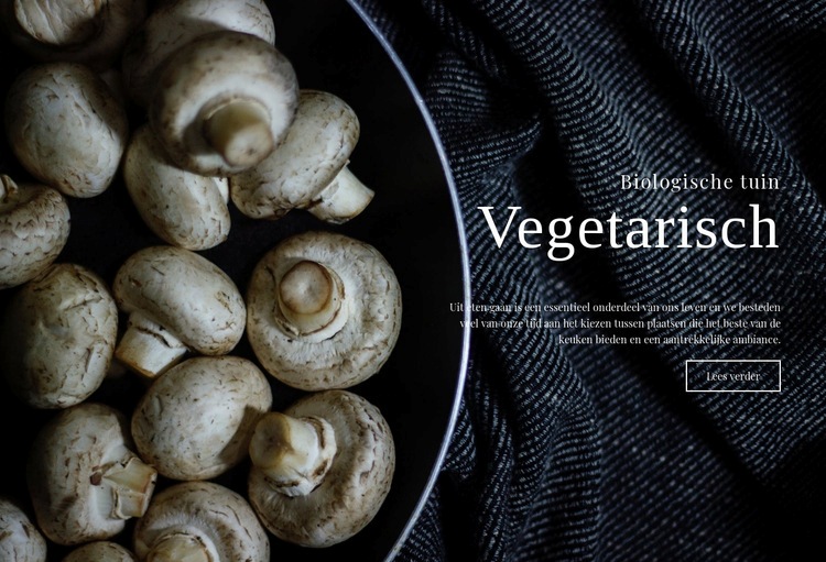 Veganistische recepten Website ontwerp