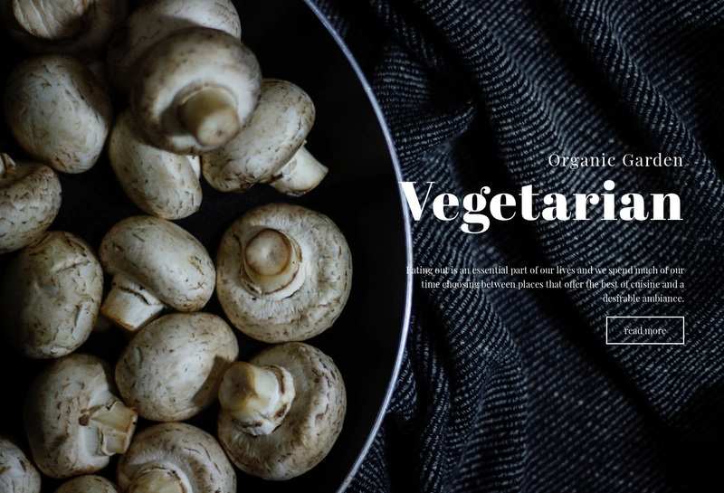 Vegan recipes Web Page Design