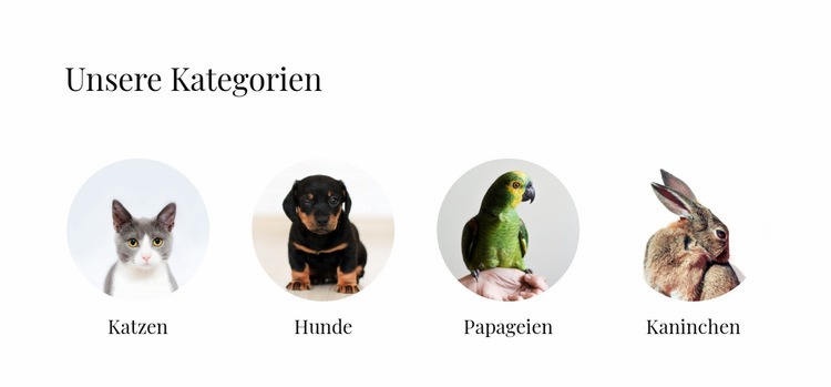Geschäft für Haustiere Website design