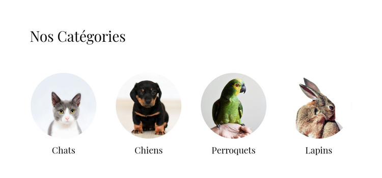 Boutique d'animaux domestiques Modèle HTML