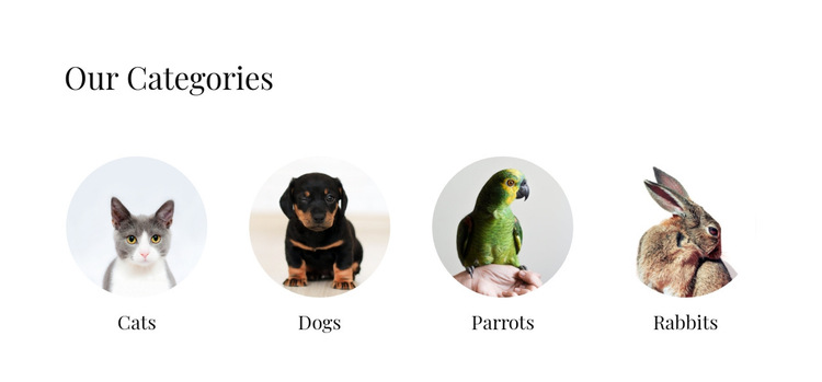 Domestic animals shop HTML5 Template
