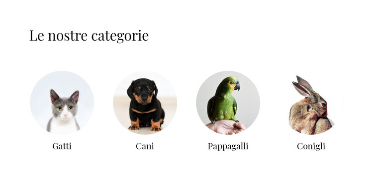 Negozio di animali domestici Modello HTML
