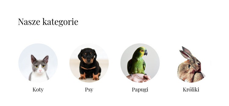 Sklep ze zwierzętami domowymi Makieta strony internetowej