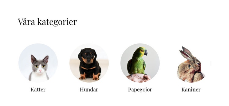 Husdjursbutik HTML-mall