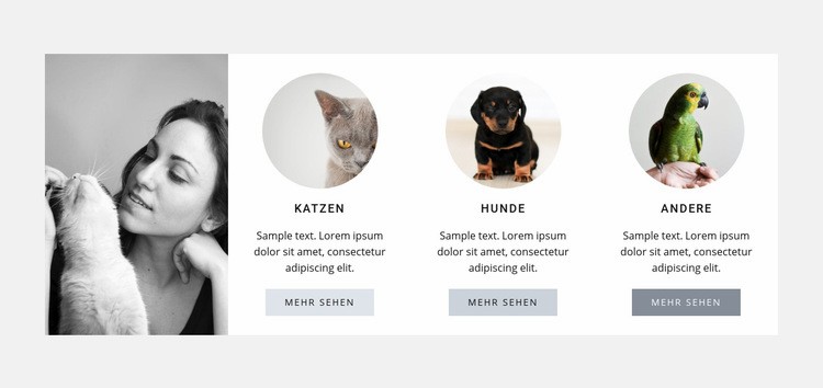 Beste Haustierpflege HTML Website Builder