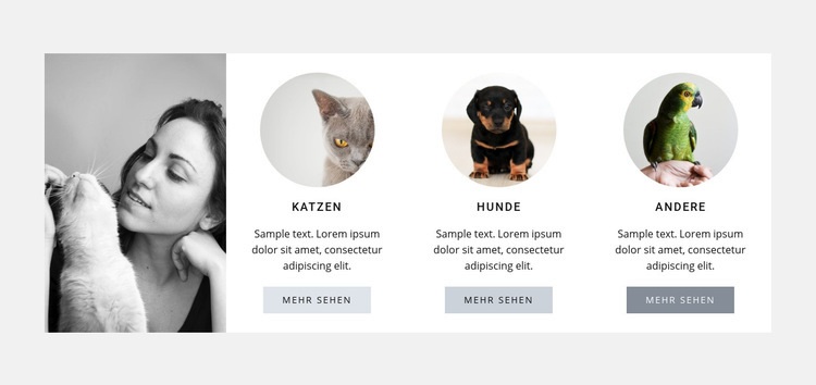 Beste Haustierpflege Website-Modell