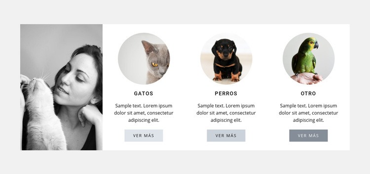 Mejor cuidado de mascotas Diseño de páginas web