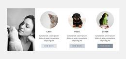 Best pets care - HTML Template by Nicepage