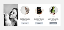 Best Pets Care - Free Professional Joomla Template