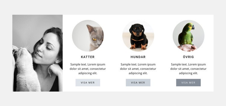 Bästa husdjur vård HTML-mall