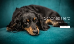 Atemberaubendes Webdesign Für Treues Herz