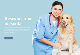 Plantilla CSS Para Cuidado De La Salud Veterinaria