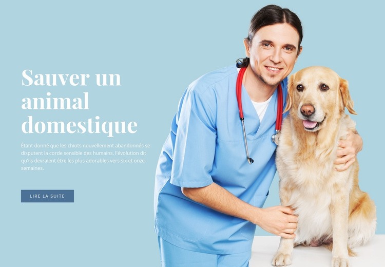 Soins de santé vétérinaires Maquette de site Web
