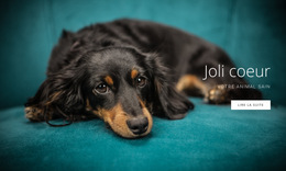 Modèle De Plate-Forme De Lancement Pour Coeur Fidèle