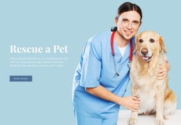 Állatorvosi Egészségügyi Ellátás - Online HTML Generator