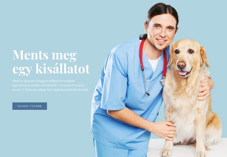 Állatorvosi egészségügyi ellátás Weboldal sablon