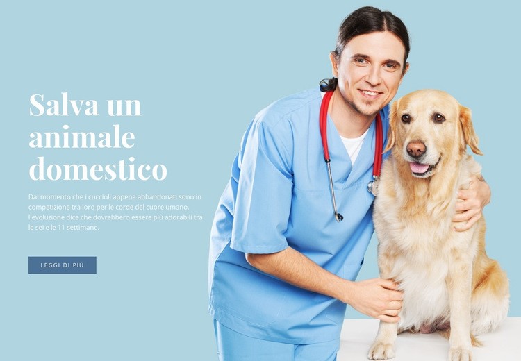 Assistenza sanitaria veterinaria Un modello di pagina