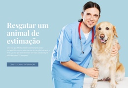 Saúde Veterinária - Construtor De Sites Profissional