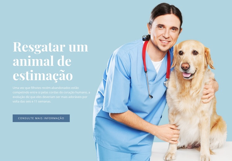 Saúde veterinária Design do site