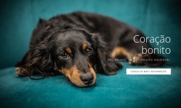 Coração Fiel #Templates-Pt-Seo-One-Item-Suffix