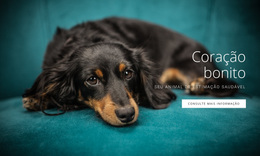 Coração Fiel Tema WordPress