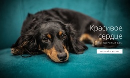 Верное Сердце Шаблон Макета CSS