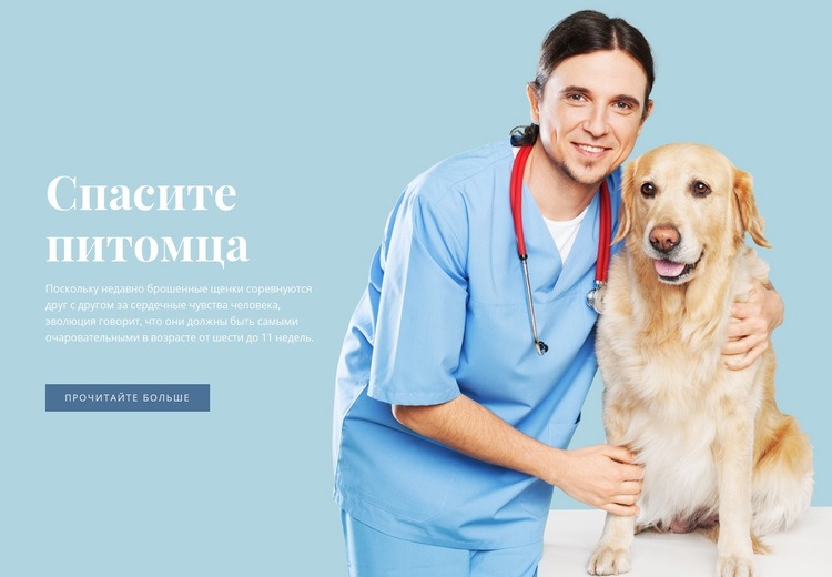 Ветеринарное здравоохранение Шаблон веб-сайта