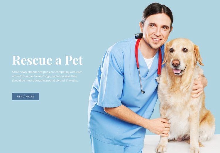 Veterinärhälsovård Html webbplatsbyggare