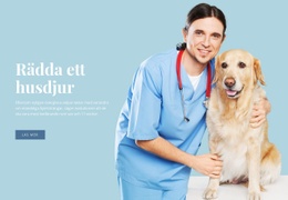 Veterinärhälsovård Webbplatsmall