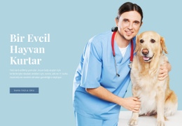 Veteriner Sağlık Bakımı - Profesyonel Web Sitesi Oluşturucu