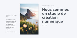 Studio De Création Numérique - Modèle De Page HTML