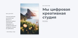 Цифровая Креативная Студия — Функциональность Темы WordPress