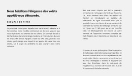 Beaucoup De Texte En Deux Colonnes - Conception De Maquette